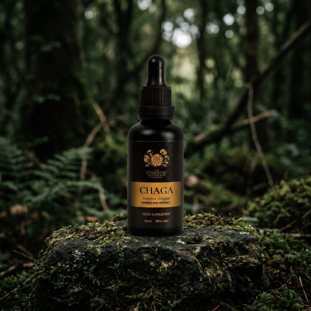 Chaga Dual-Extract Tincture (50ml) Mushroom Tincture