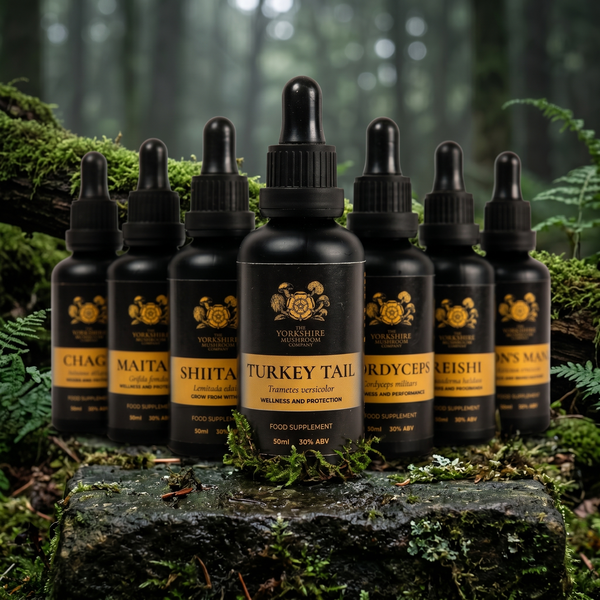 The Complete Apothecary Discovery Suite (7x50ml)