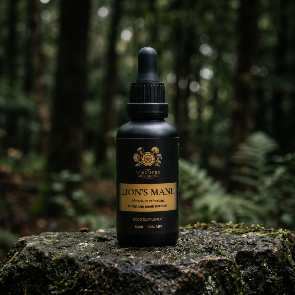 Lion's Mane Dual-Extract Tincture (50ml) Mushroom Tincture