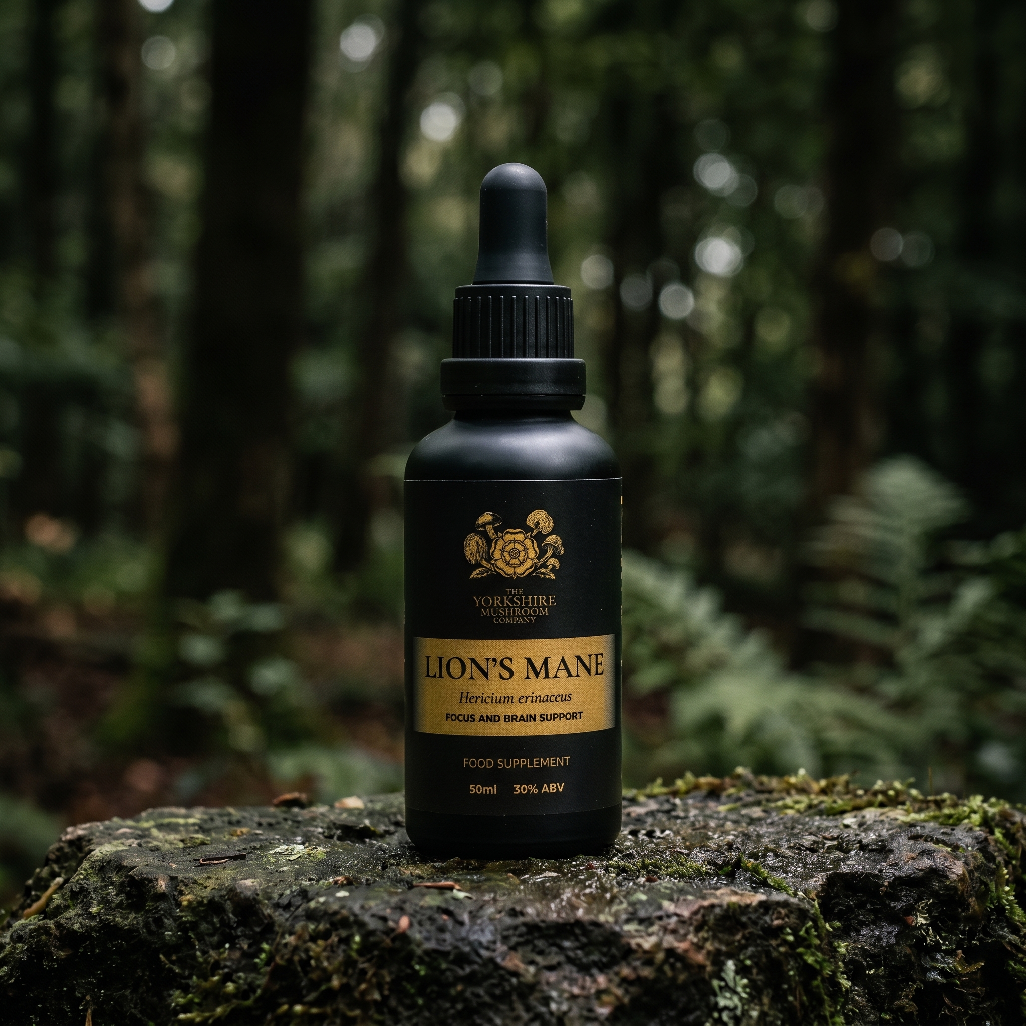 Lion's Mane Dual-Extract Tincture (50ml)
