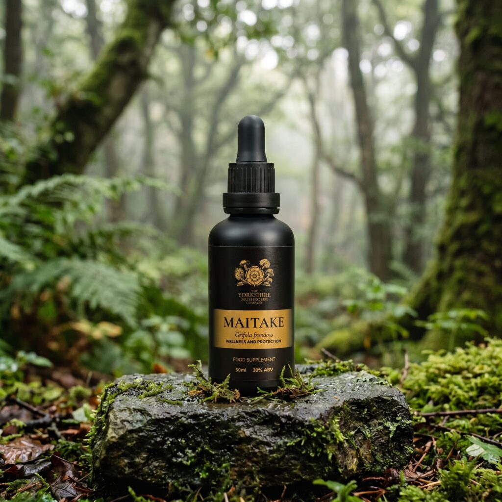 Maitake Dual-Extract Tincture (50ml) Mushroom Tincture