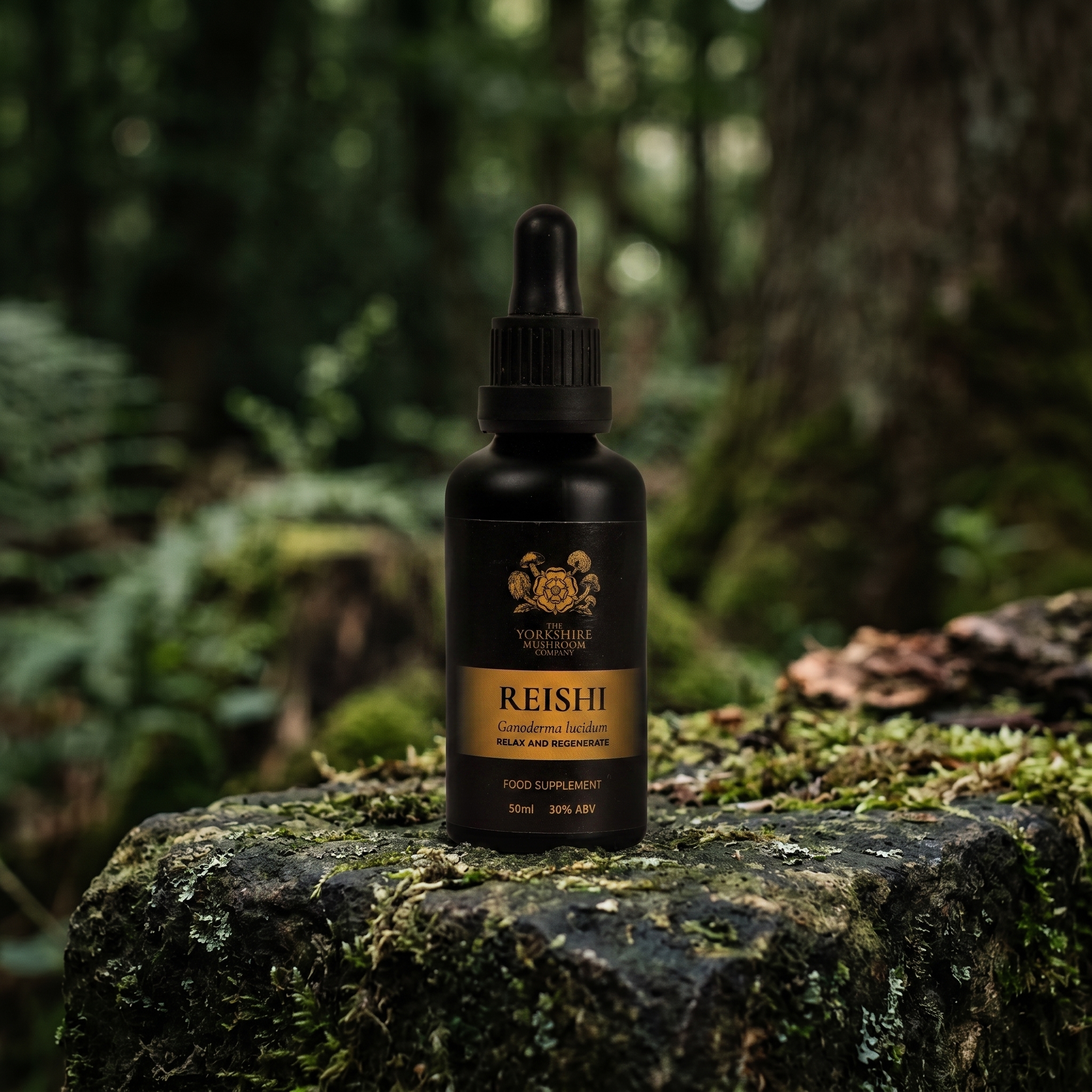 Reishi Dual-Extract Tincture (50ml)
