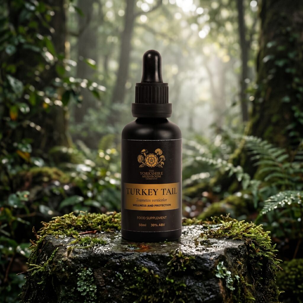 Turkey Tail Dual-Extract Tincture (50ml)